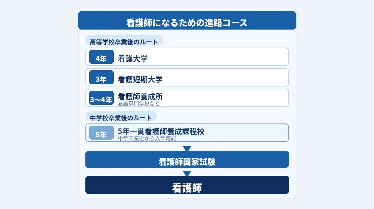 資格取得ルートの差:無資格から目指せる介護と免許必須の看護