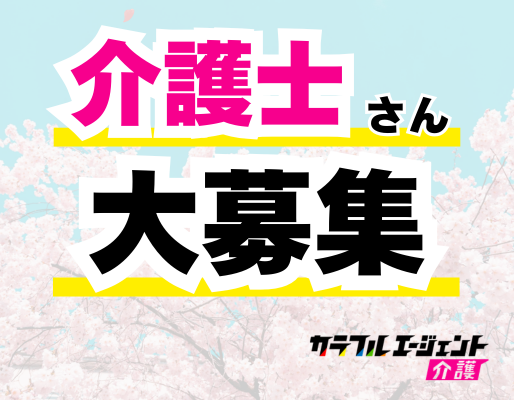 https://cpn.colorful-career.jp/lp/008
